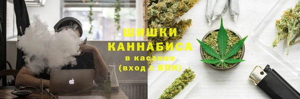 индика Алзамай