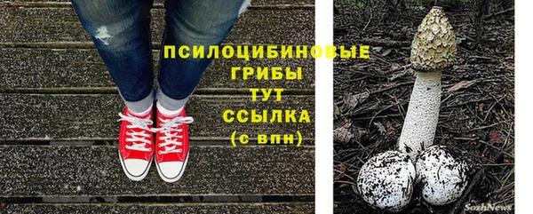 apvp Абдулино