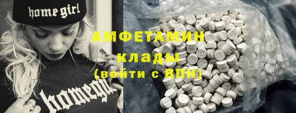 индика Алзамай