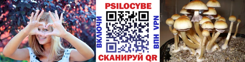 купить закладку  Магнитогорск  Псилоцибиновые грибы MAGIC MUSHROOMS 